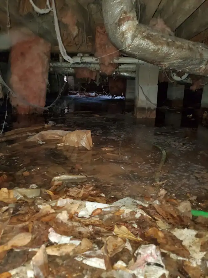 Crawl space flood assessment for Leak Detection & Repair in Fredericksburg